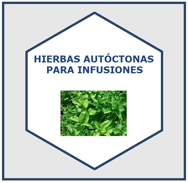 001_logo_HIERBAS AUTOCTONAS