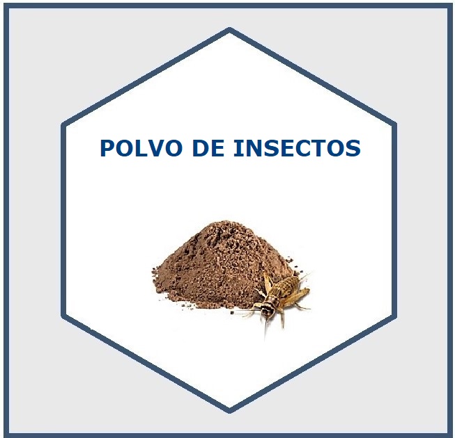 001_logo_POLVO INSECTOS