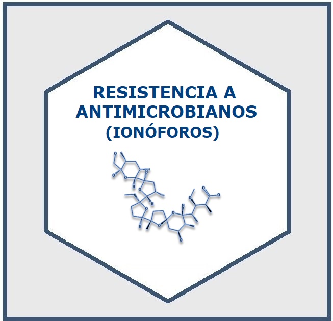 001_logo_RESISTENCIA ANTIMICROBIANOS